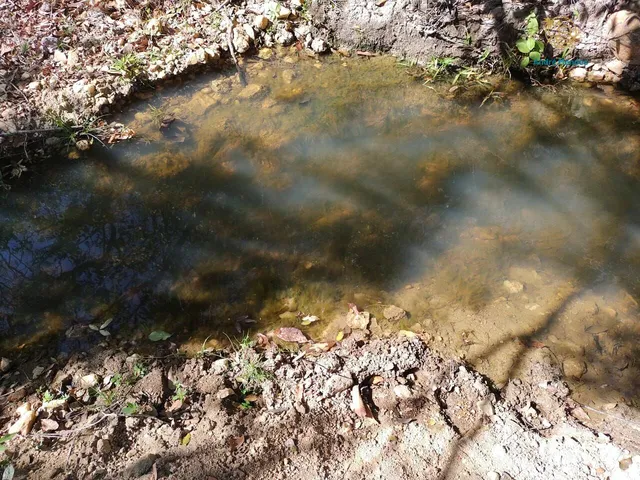 Imagem 11: Fazendinha à Venda no Aconchego da Serra, MG