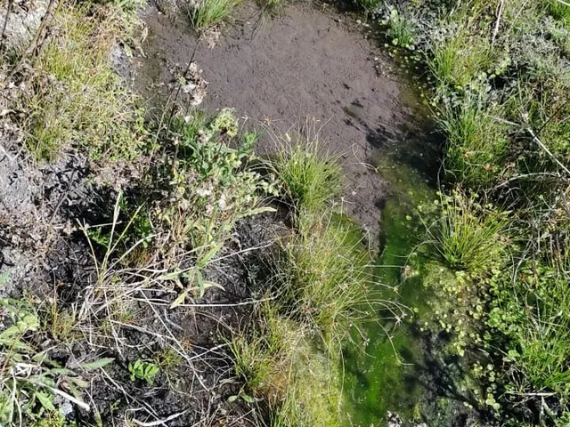 Imagem 12: Fazendinha à Venda no Aconchego da Serra, MG