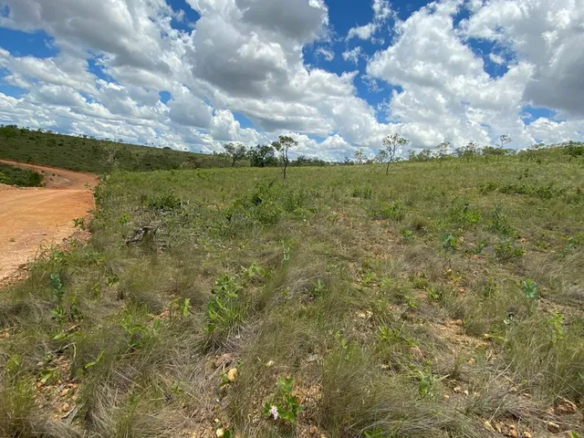 Imagem 13: Fazendinha à Venda no Aconchego da Serra, MG