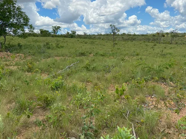 Imagem 16: Fazendinha à Venda no Aconchego da Serra, MG