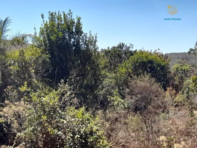 Imagem 14: Fazendinha à Venda no Aconchego da Serra, MG