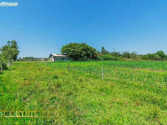 Imagem: Área de Terras - Bairro Campo Grande