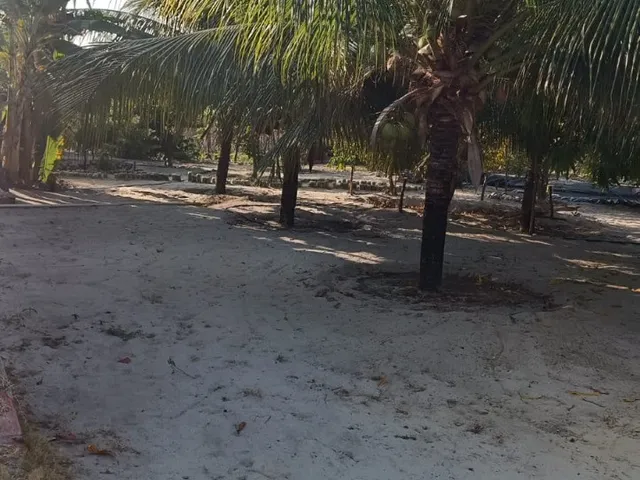 Imagem 13: Imperdível oportunidade: Casa à venda em Beberibe - CE, Prainha do Canto Verde! 3