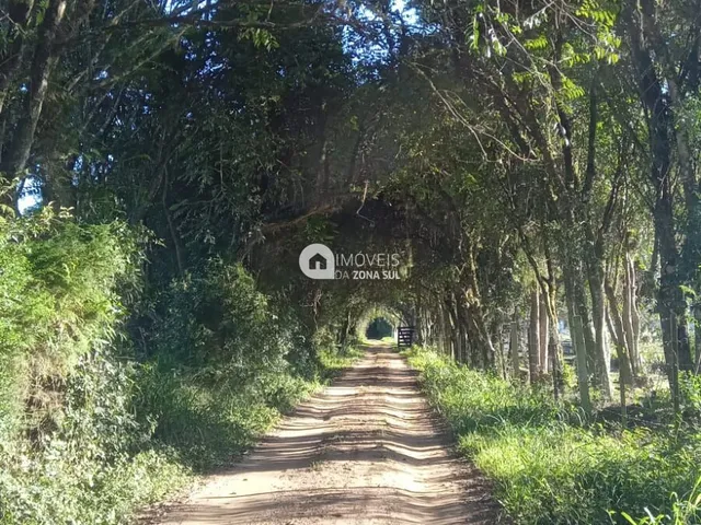 Imagem: Sítio à venda no bairro Passo da Areia