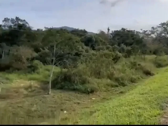 Imagem 3: Terreno industrial a venda em São José, SC, compactado, junto a BR101 e toda