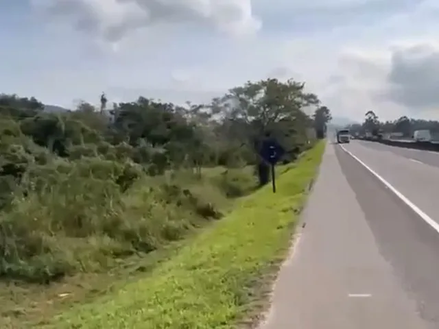 Imagem 5: Terreno industrial a venda em São José, SC, compactado, junto a BR101 e toda