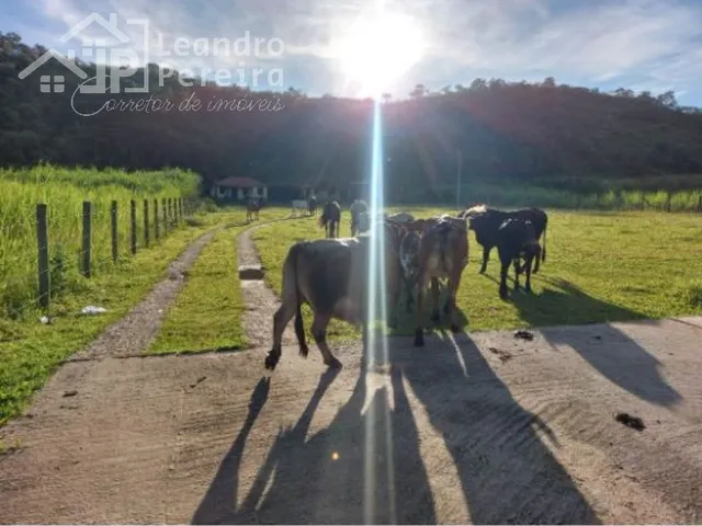 Imagem 14: Fazenda Residencial em Mendes - Rj, Centro