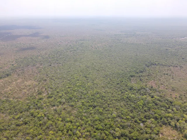 Imagem: Fazenda para Venda na Região de Nova Nazare-Mt