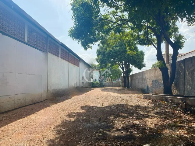 Imagem 2: Galpão na BR 010 com 1.300m²