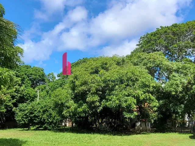 Imagem: Sítio em AÇU DA TORRE com 9.680m² Mata