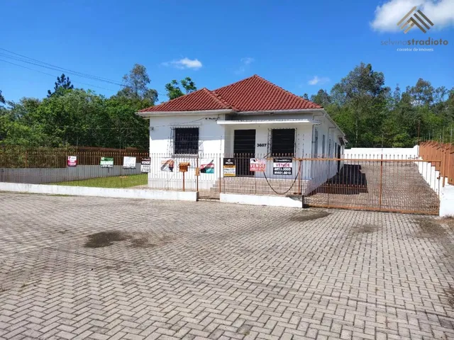 Imagem: Casa À Venda em santa Maria, Pé de Plátano