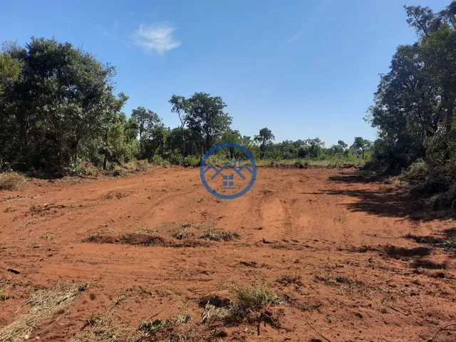 Imagem: Terreno com ótima topografia