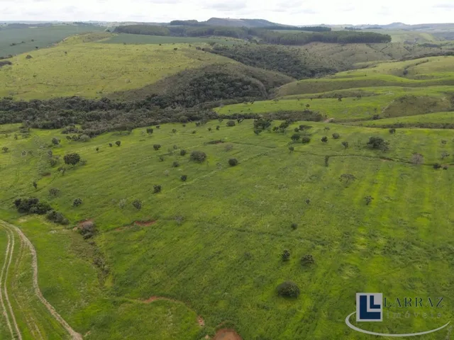 Imagem: Excelente Fazenda para Venda na Região