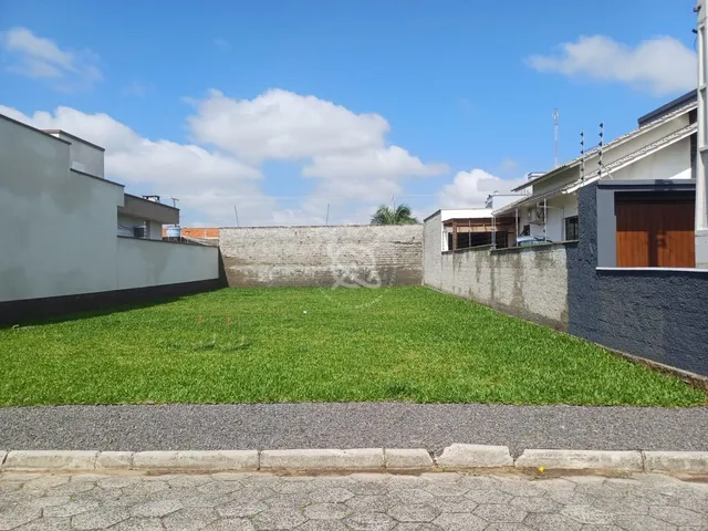 Imagem: Terreno no Mato Alto