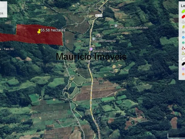 Imagem 5: Terreno rural com 55,58 hectares, parte reflorestado eucaliptos e parte com reserva