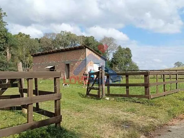 Imagem: Chácara À Venda no Bairro Centro - Contenda/Pr