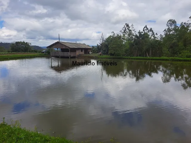 Imagem: Lindo sítio com 7 hectares, Ribeirão Cachoeira