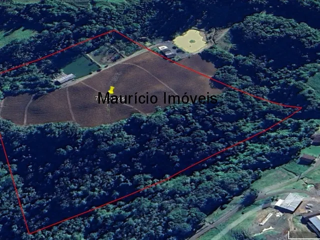 Imagem 7: Lindo sítio com 7 hectares, Ribeirão Cachoeira, Distrito de Passo Manso, Taió, S.C