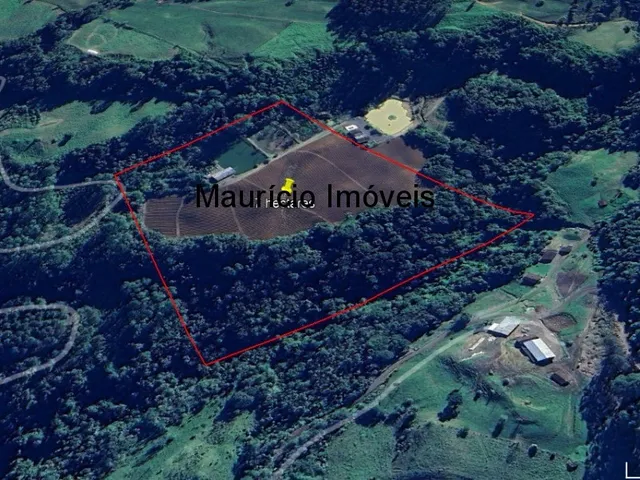 Imagem 3: Lindo sítio com 7 hectares, Ribeirão Cachoeira, Distrito de Passo Manso, Taió, S.C