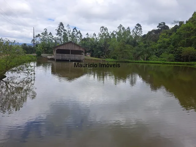 Imagem 13: Lindo sítio com 7 hectares, Ribeirão Cachoeira, Distrito de Passo Manso, Taió, S.C