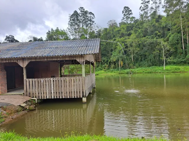 Imagem 10: Lindo sítio com 7 hectares, Ribeirão Cachoeira, Distrito de Passo Manso, Taió, S.C