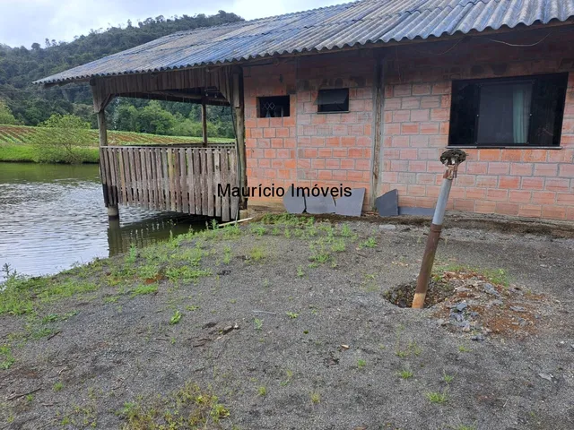 Imagem 6: Lindo sítio com 7 hectares, Ribeirão Cachoeira, Distrito de Passo Manso, Taió, S.C