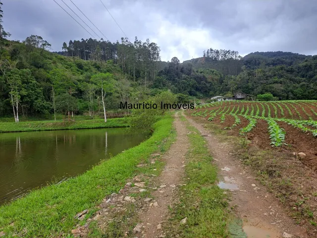 Imagem 5: Lindo sítio com 7 hectares, Ribeirão Cachoeira, Distrito de Passo Manso, Taió, S.C