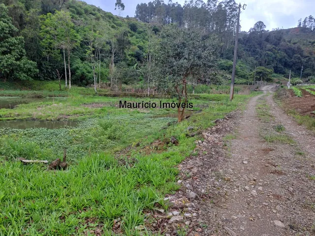 Imagem 4: Lindo sítio com 7 hectares, Ribeirão Cachoeira, Distrito de Passo Manso, Taió, S.C