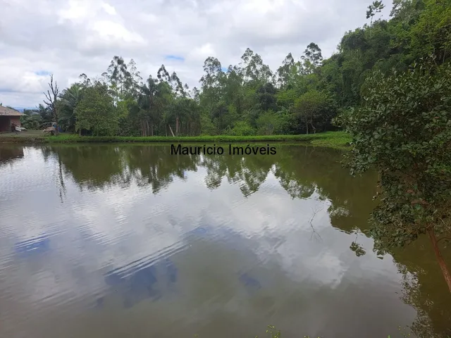 Imagem 11: Lindo sítio com 7 hectares, Ribeirão Cachoeira, Distrito de Passo Manso, Taió, S.C