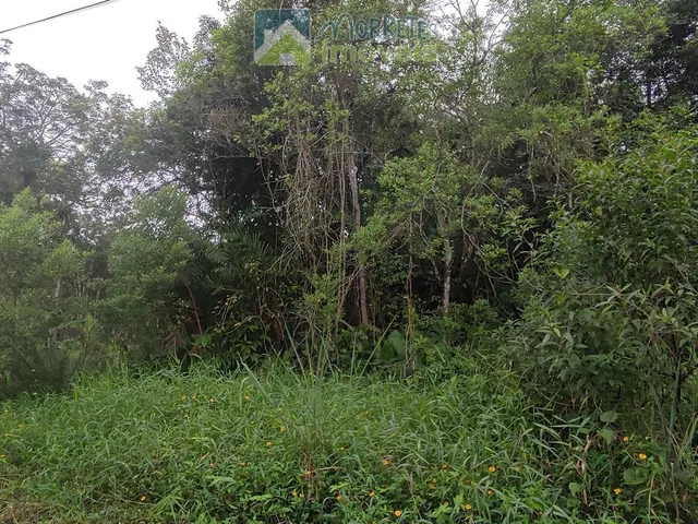 Imagem: Terreno à venda no bairro Barreiros - Morretes/PR