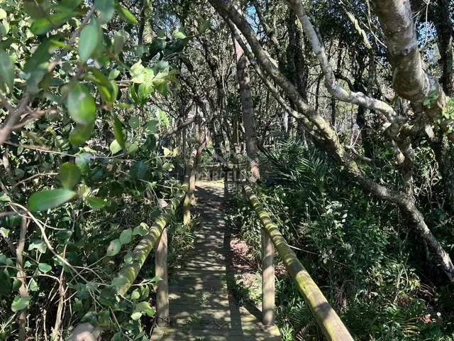 Imagem 2: Exclusiva casa na beira da lagoa de Ibiraquera