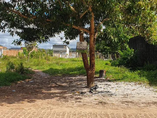 Imagem: Terreno Lote em Novo Horizonte, Valença/BA