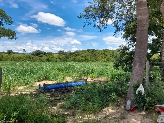 Imagem 3: Fazenda Beira Rio Manso em Chapada