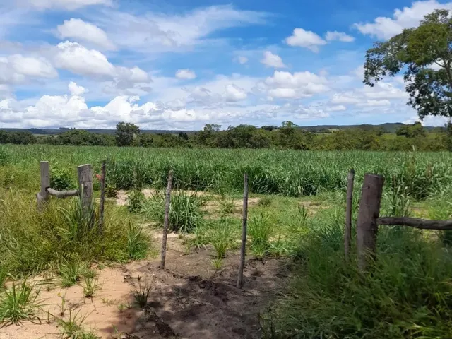 Imagem 10: Fazenda Beira Rio Manso em Chapada