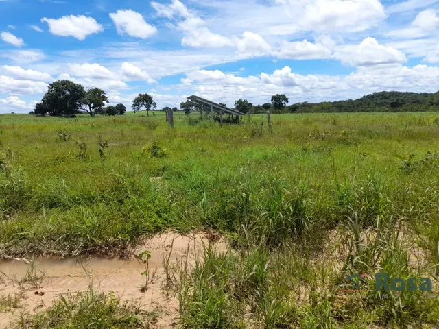 Imagem 6: Fazenda Beira Rio Manso em Chapada