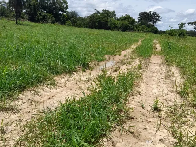 Imagem 2: Fazenda Beira Rio Manso em Chapada