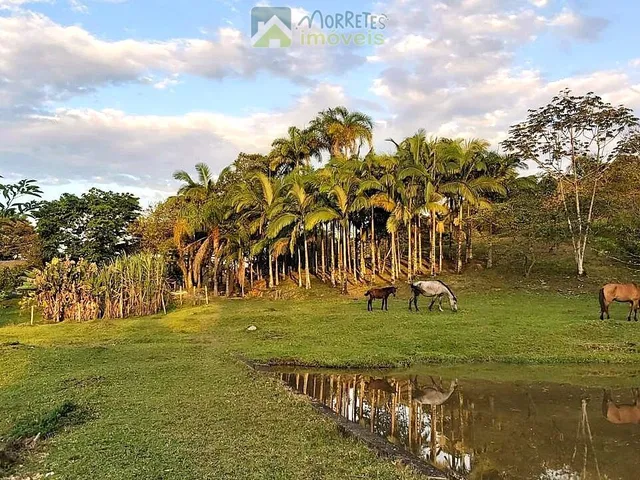 Imagem 12: Sítio em Antonina cinco tanques de peixes e duas nascentes com 84.300m² toda cercada