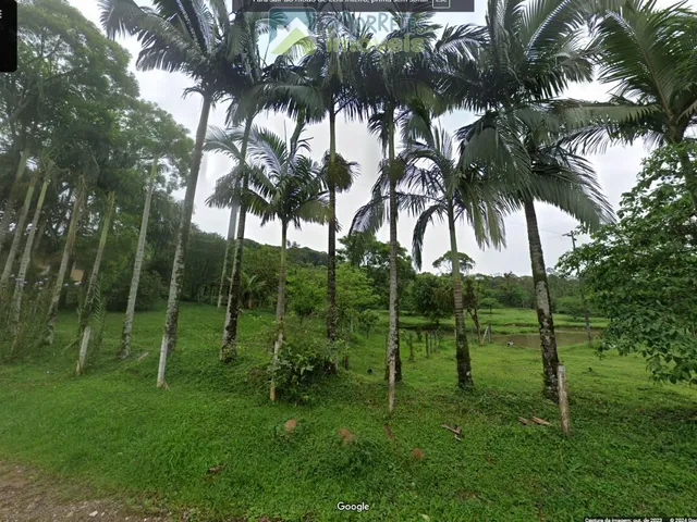 Imagem 16: Sítio em Antonina cinco tanques de peixes e duas nascentes com 84.300m² toda cercada