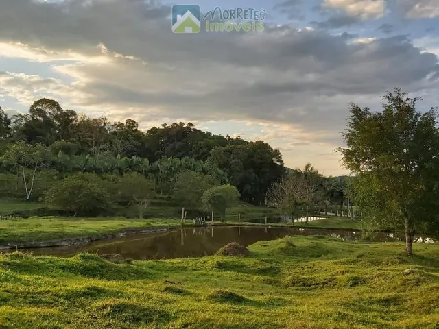 Imagem 3: Sítio em Antonina cinco tanques de peixes e duas nascentes com 84.300m² toda cercada