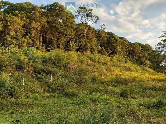 Imagem 11: Sítio em Antonina cinco tanques de peixes e duas nascentes com 84.300m² toda cercada