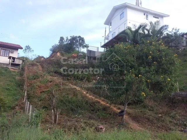 Imagem 10: AMPLO TERRENO DE 399m² BEM LOCALIZADO