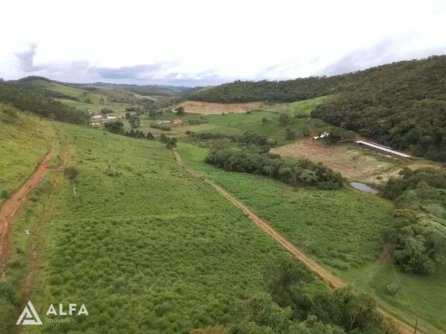 Imagem: Fazenda Leiteira Completa e Produtiva com