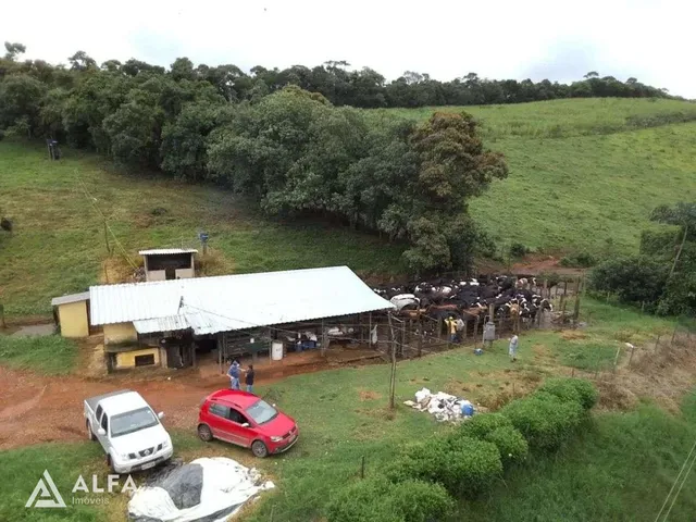 Imagem 2: Fazenda Leiteira Completa e Produtiva com Estrutura de Alta Capacidade - Oportunidade
