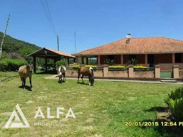 Imagem 12: Fazenda Leiteira Completa e Produtiva com Estrutura de Alta Capacidade - Oportunidade