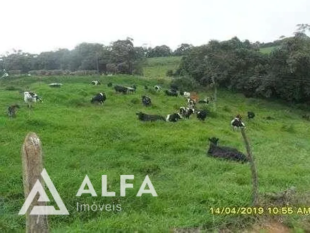Imagem 5: Fazenda Leiteira Completa e Produtiva com Estrutura de Alta Capacidade - Oportunidade