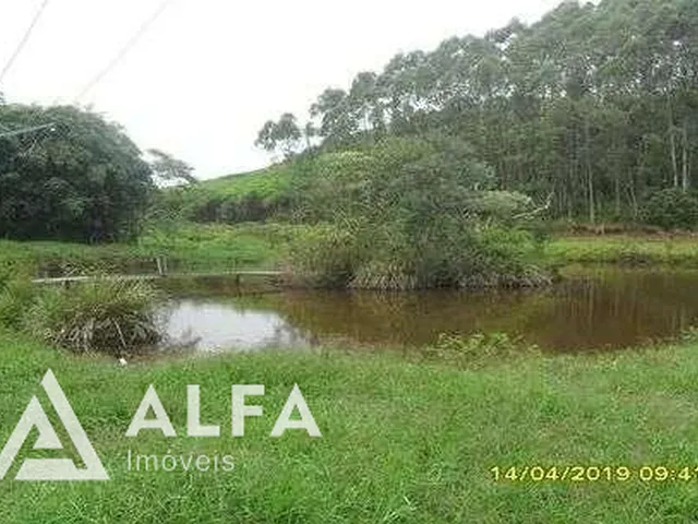 Imagem 10: Fazenda Leiteira Completa e Produtiva com Estrutura de Alta Capacidade - Oportunidade