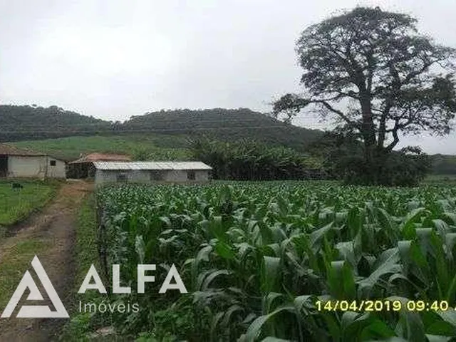 Imagem 15: Fazenda Leiteira Completa e Produtiva com Estrutura de Alta Capacidade - Oportunidade
