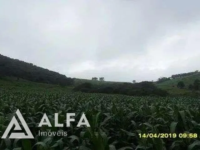 Imagem 8: Fazenda Leiteira Completa e Produtiva com Estrutura de Alta Capacidade - Oportunidade