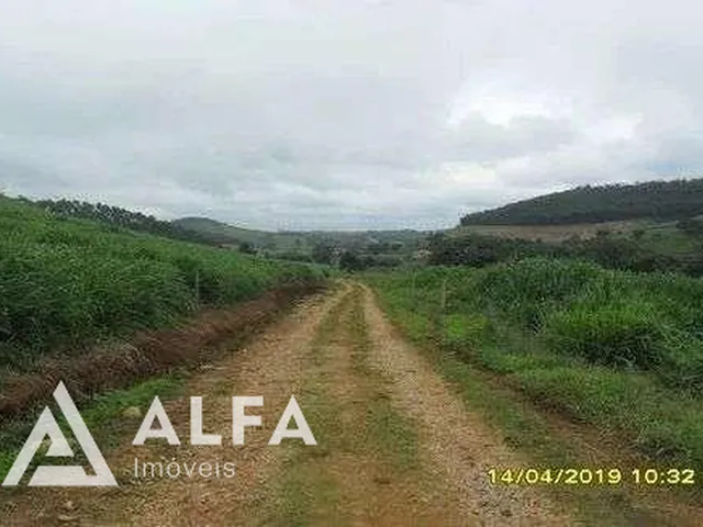 Imagem 14: Fazenda Leiteira Completa e Produtiva com Estrutura de Alta Capacidade - Oportunidade