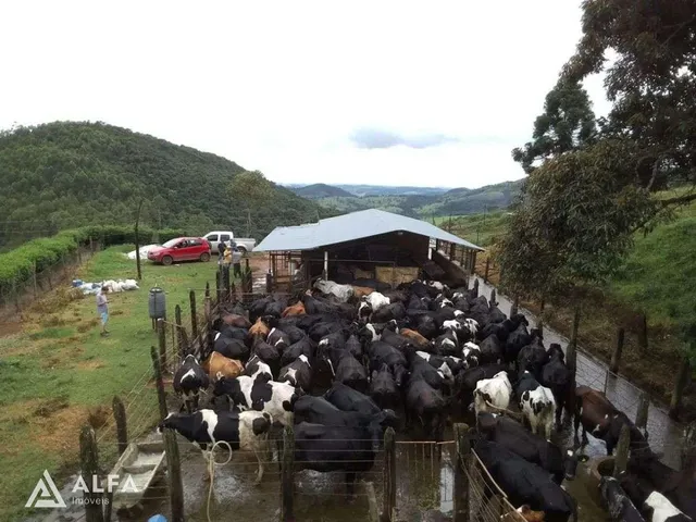 Imagem 3: Fazenda Leiteira Completa e Produtiva com Estrutura de Alta Capacidade - Oportunidade